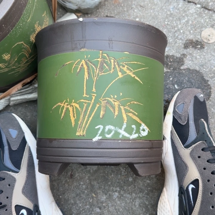 紫砂花盆双十一专属优惠福利