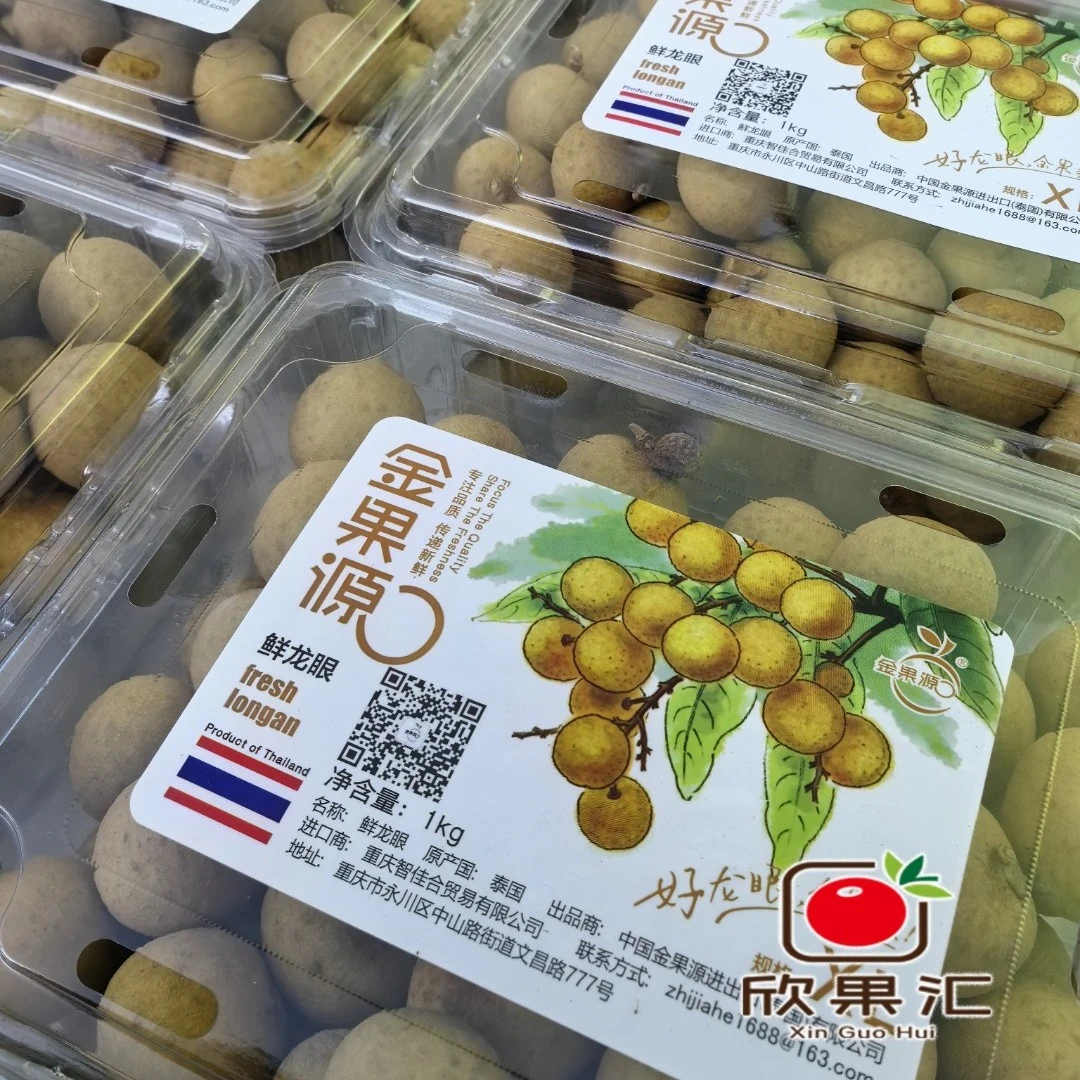 金果源泰国进口桂圆  2斤盒装