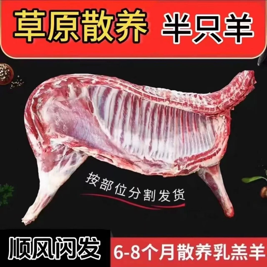 正宗散养鲜嫩美味新鲜牧场直发羊腿羊排羊蝎子组合装10斤顺丰冷链