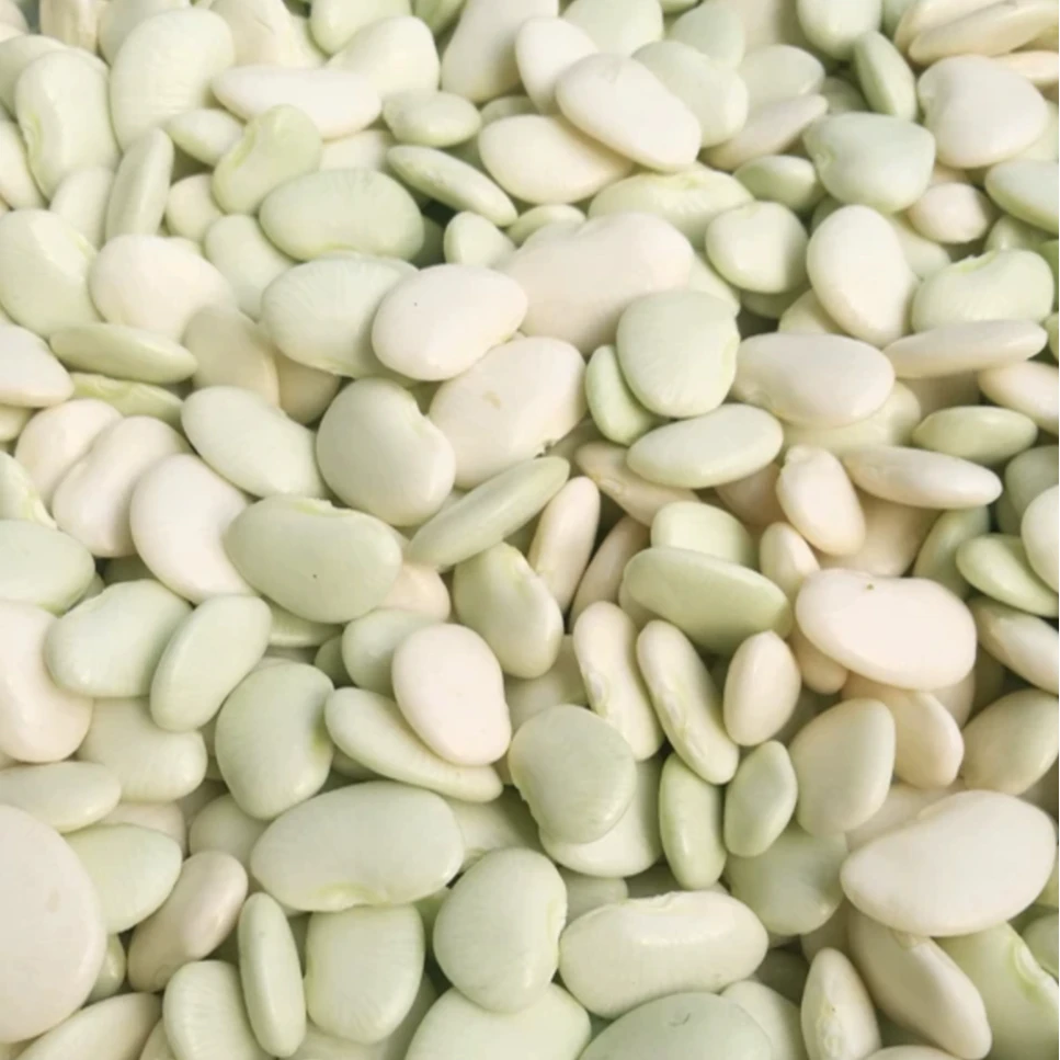 白玉豆农家种植玉山特产白扁豆现采现摘500g