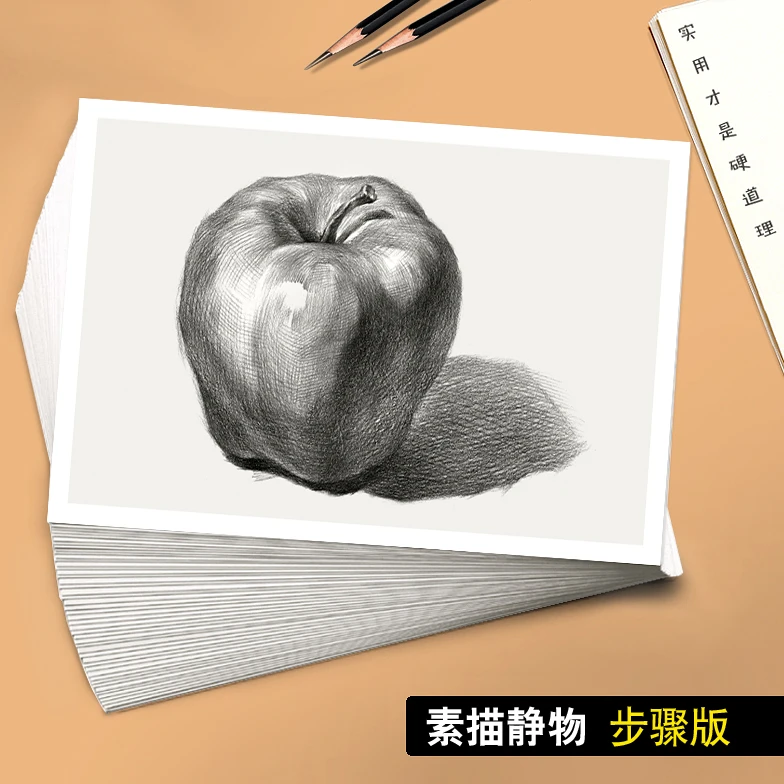 素描静物临摹卡步骤双面版印刷美术培训绘画初级素描本原创40张