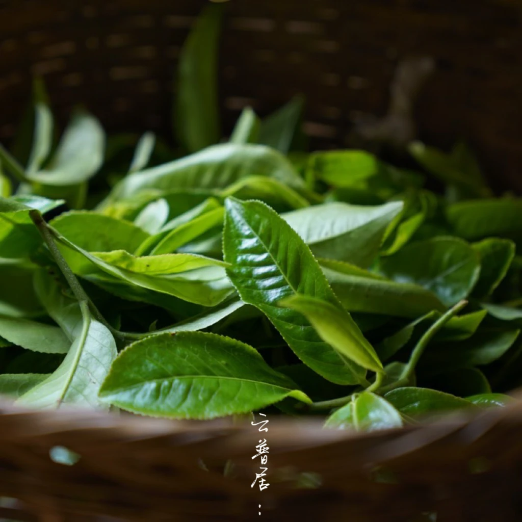 【云普居·大礼包】普洱茶熟茶礼包------