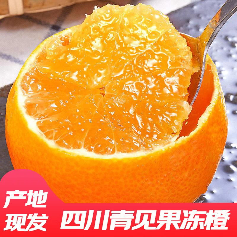 FLL【现摘果冻橙】四川青见果冻橙柑橘新鲜爆汁多汁细腻坏果包赔