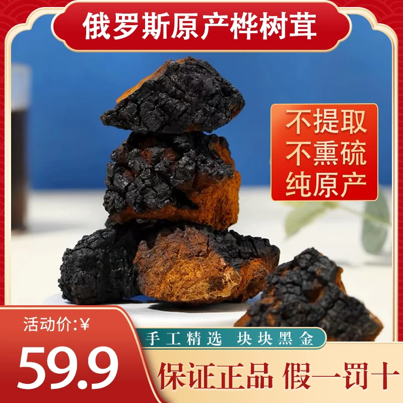 （人工精选）俄罗斯西伯利亚桦树茸手工挑选黑皮小块饮品250g/500g