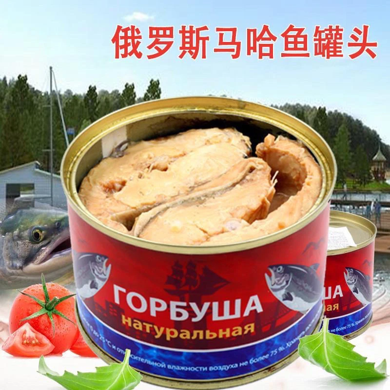 俄罗斯进三文鱼罐头 茄汁大块整块肉 即食海鲜220克包邮