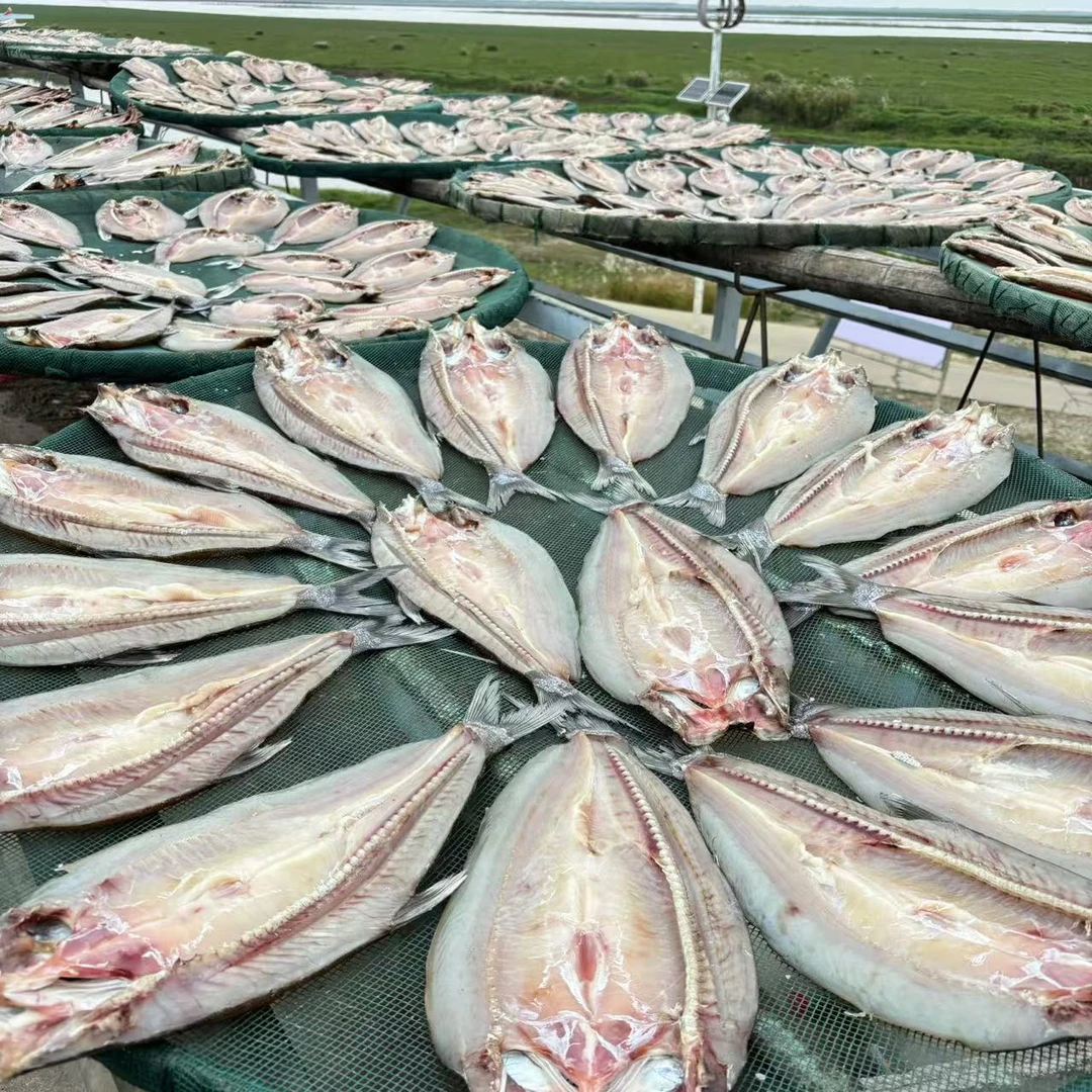 【顺丰】湖南特产翘白鱼糍粑鱼3斤5-6条装