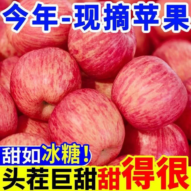 正宗陕西冰糖心苹果5斤装