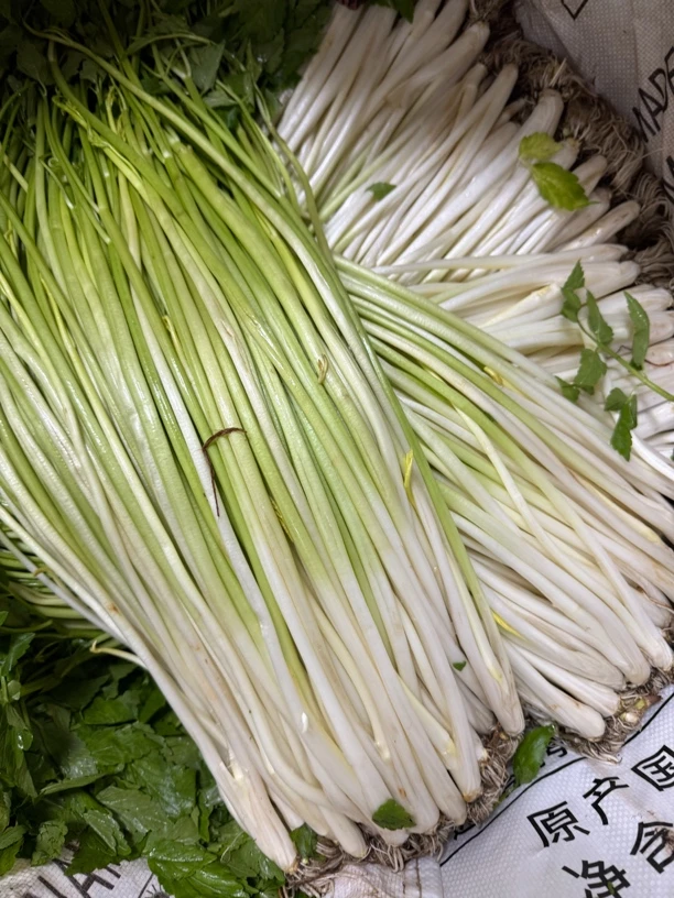 带白根水芹（700g）