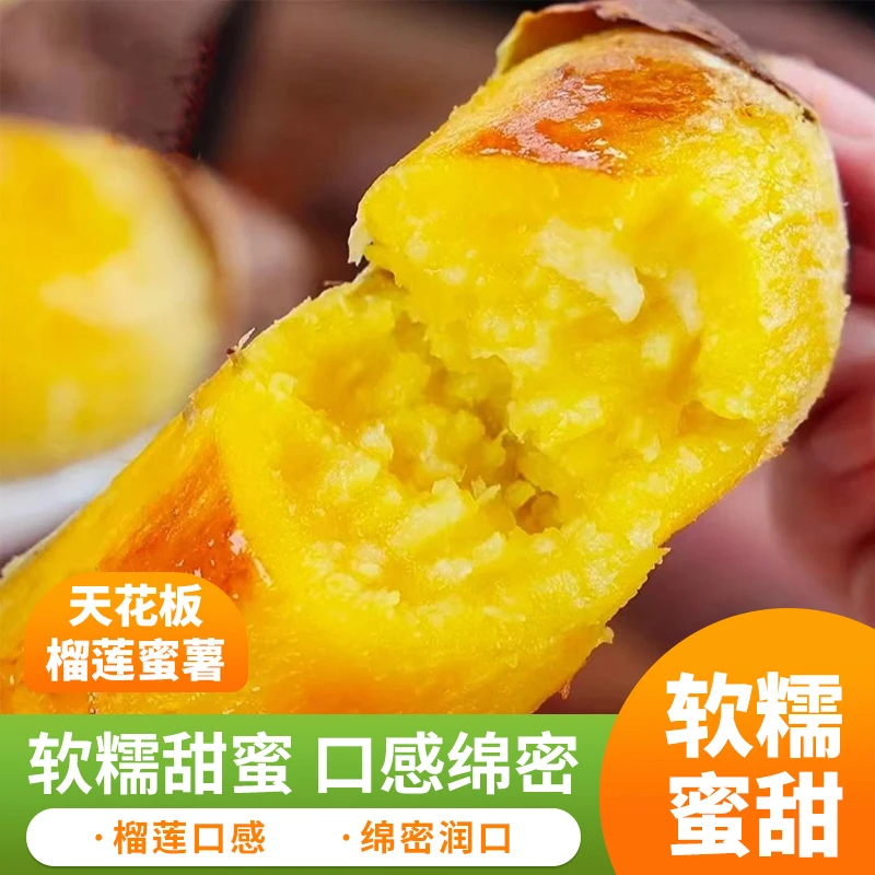 榴莲蜜薯玛莎莉山东沙土地黄心糖心