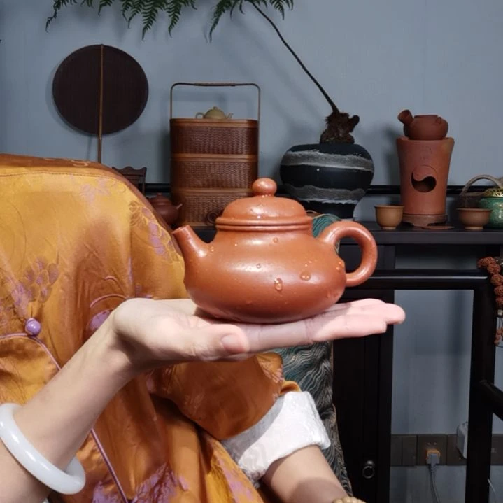 【闪购商品】紫砂茶壶