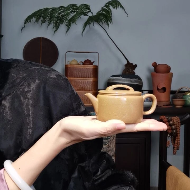 【闪购商品】紫砂茶壶