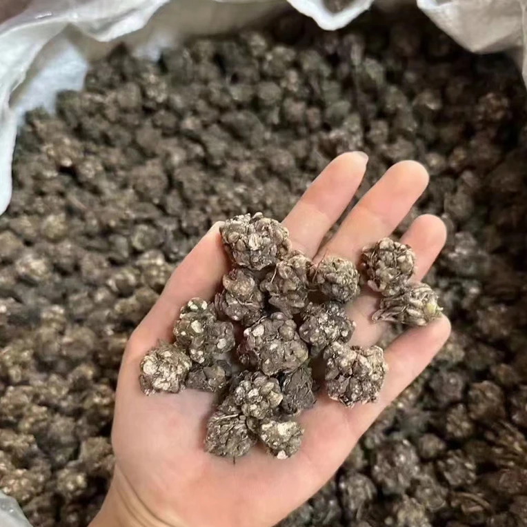 猫爪草今年新货 煮水