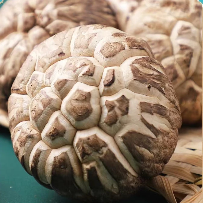贵州从江深山花菇180g