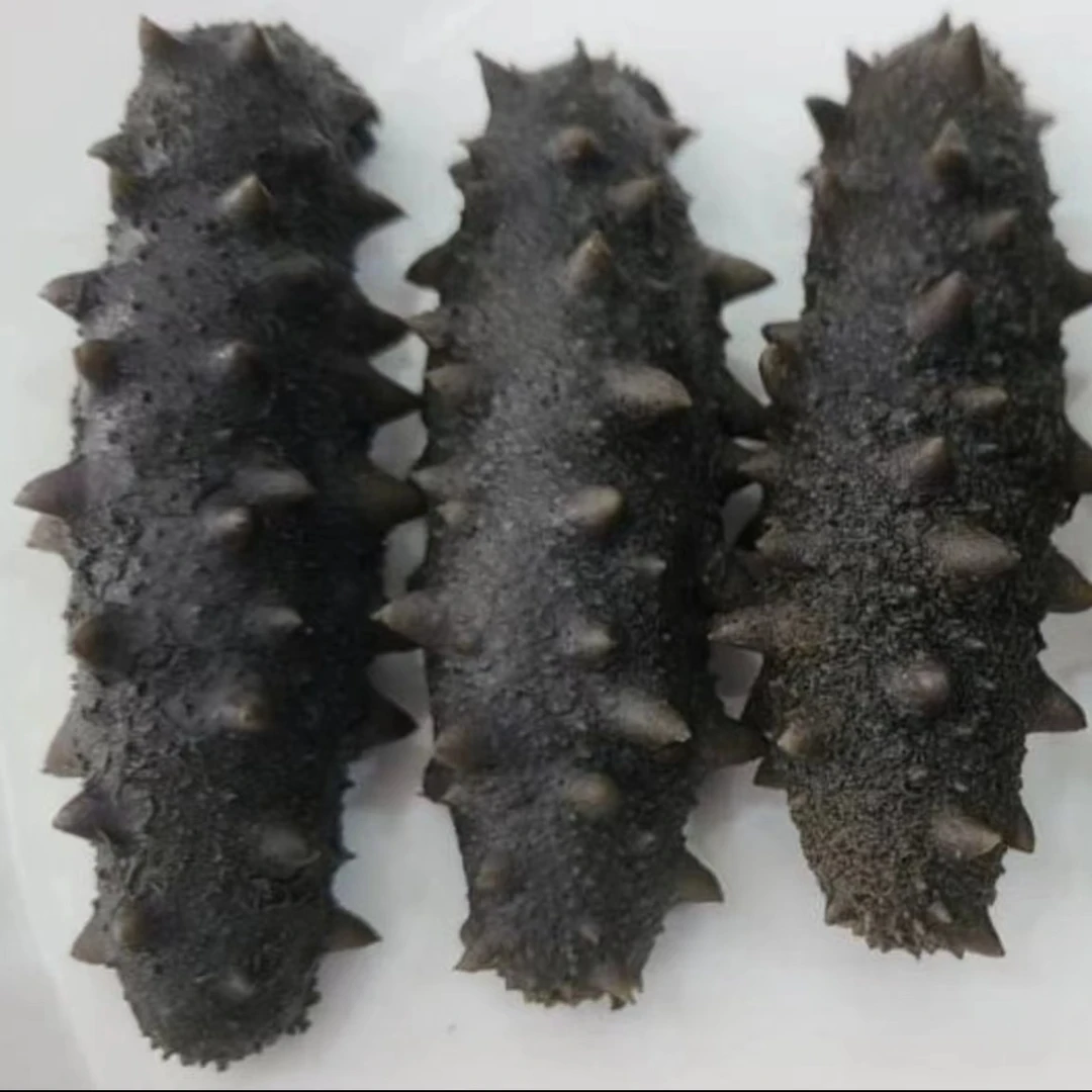 深海底播大火半干海参