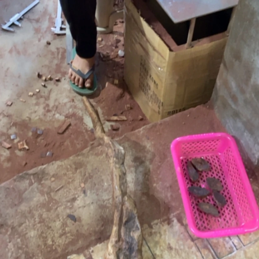 【闪购商品】黄花梨/降香黄檀其他随*