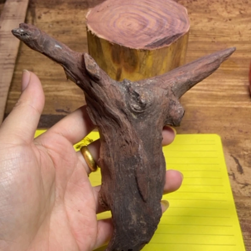 【闪购商品】黄花梨/降香黄檀其他大****天