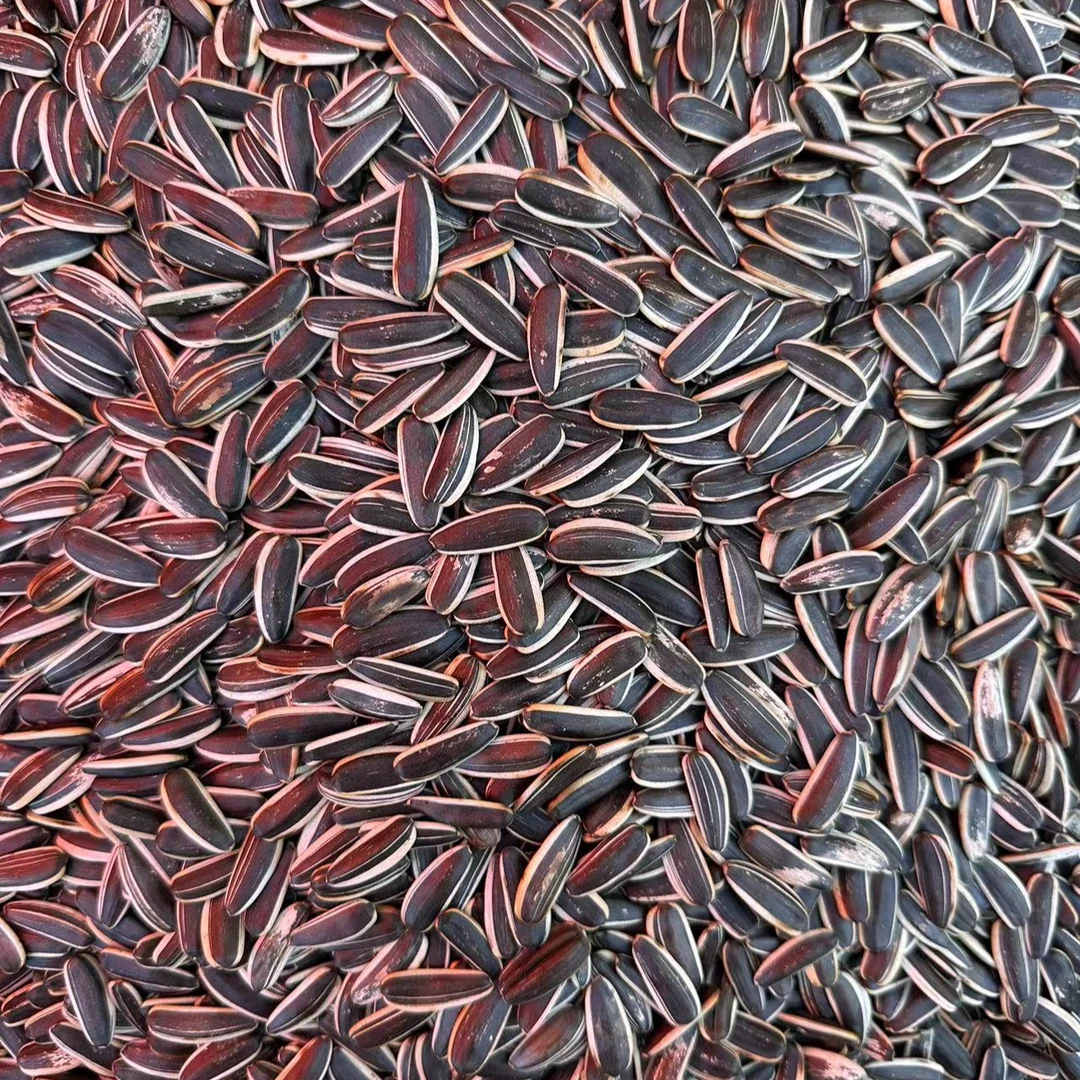 新鲜葵花籽363生瓜子3斤