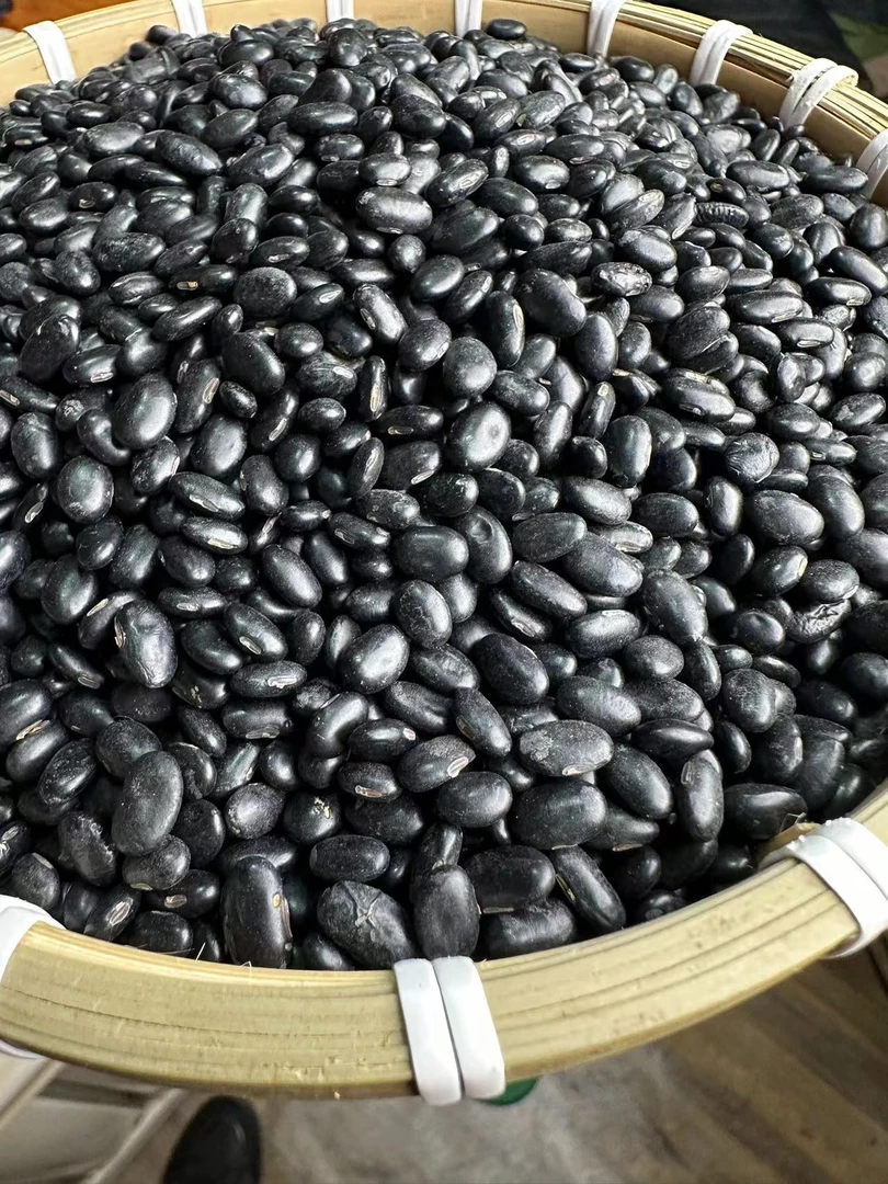 农家小黑豆好煮可以泡醋