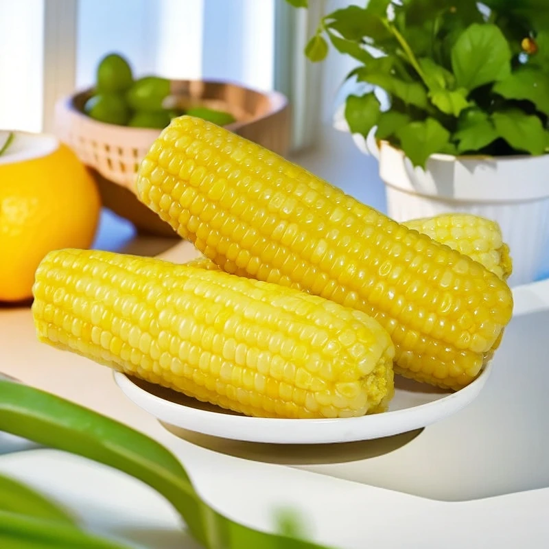 东北2024年黄糯玉米小棒10支真空新鲜甜糯营养即食粘苞米食用香糯