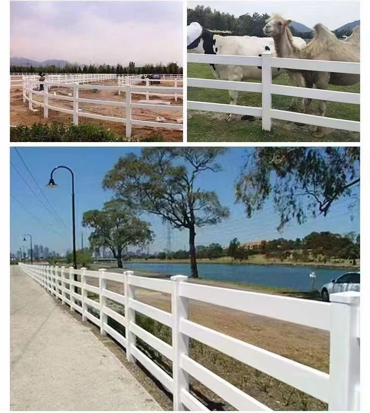 P V C马术护栏跑马道调教圈隔离栅栏萌宠塑钢畜牧养殖牛马场围栏
