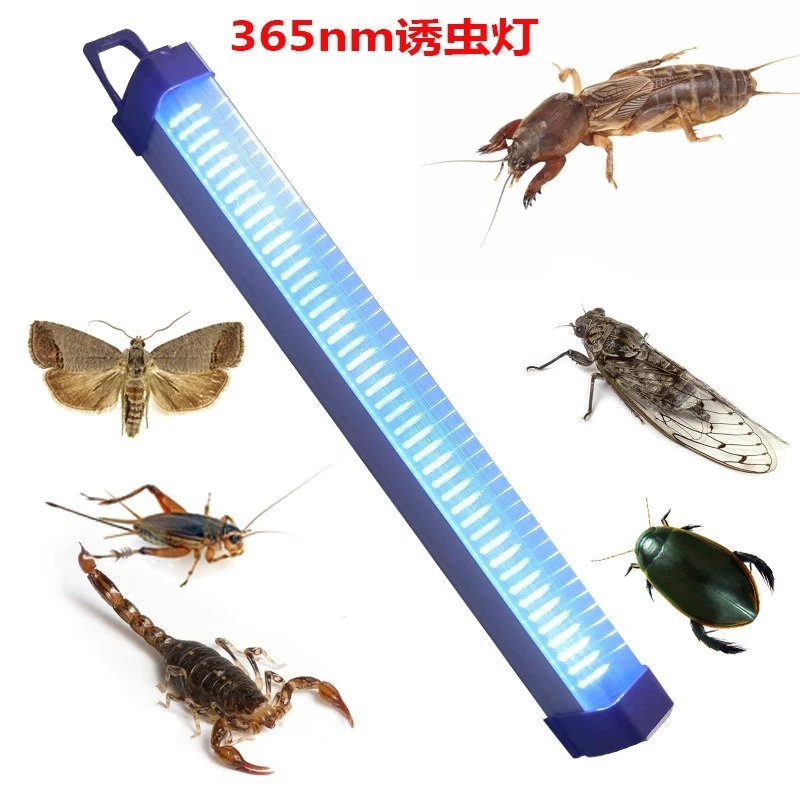 led诱虫灯充电式带挂钩户外捕蝉蝼蛄蟋蟀知了蝎子龙虱黑光引虫灯
