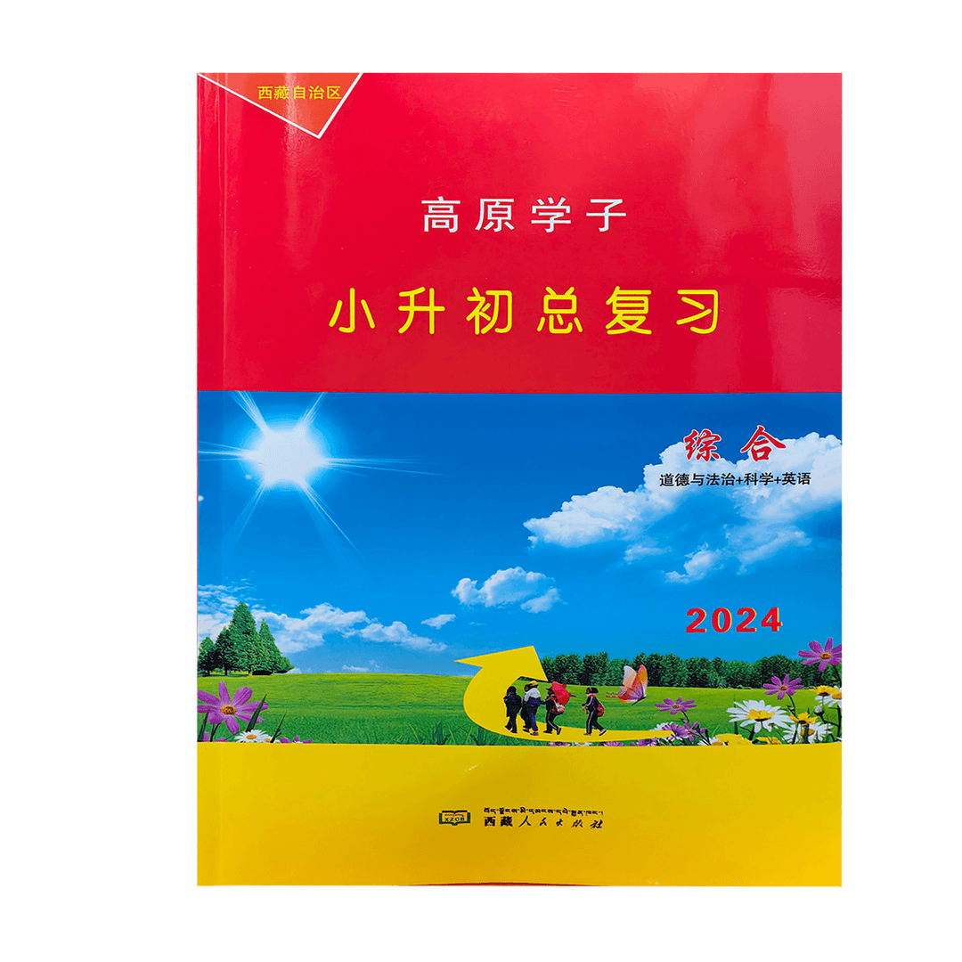 高原学子小升初总复习综合