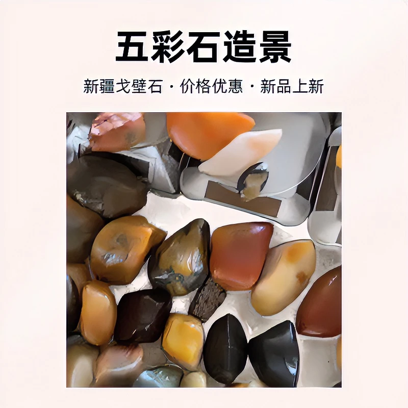 新疆戈壁五彩石彩石盆景石装饰造景石(不包邮)