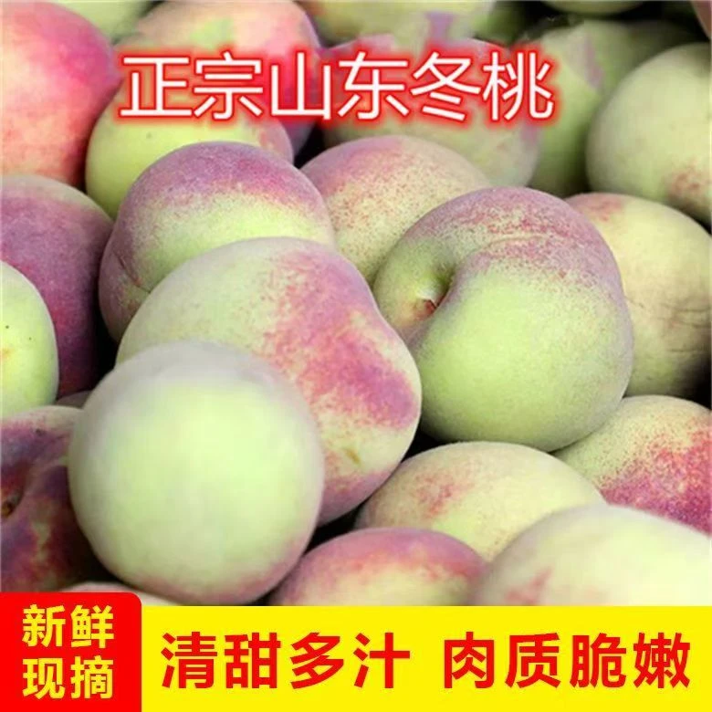 【冬雪蜜桃OK】正宗山东小山桃蜜桃产地直发5斤1斤多规格