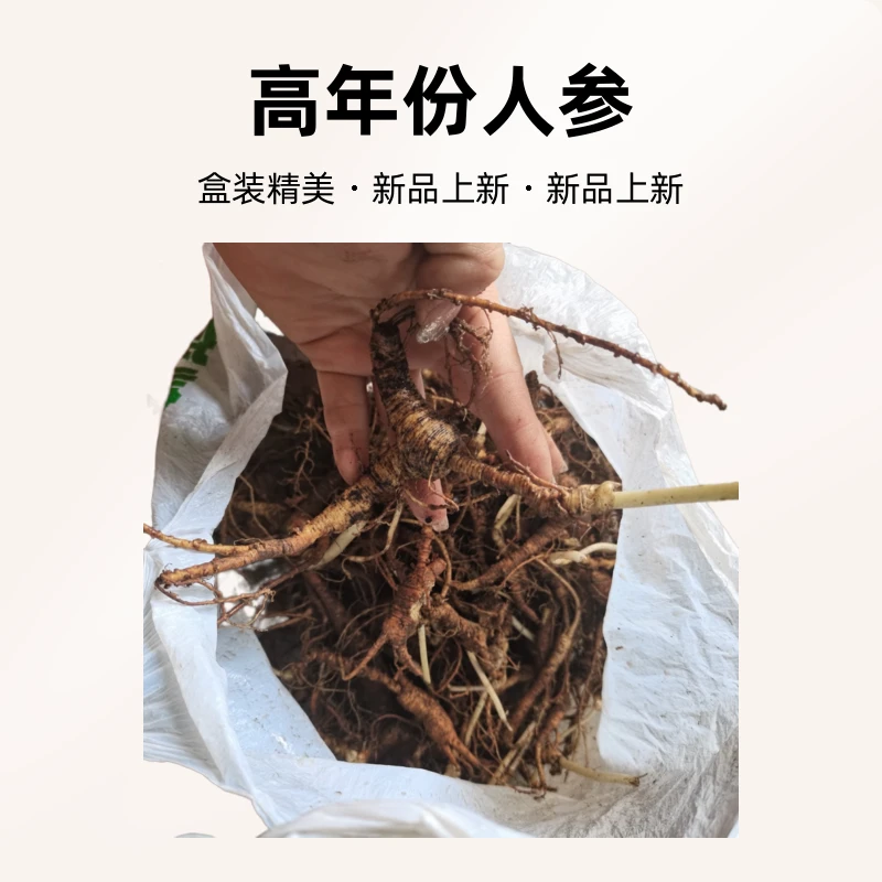 老锈人参 带绣人参（直播链接勿拍）