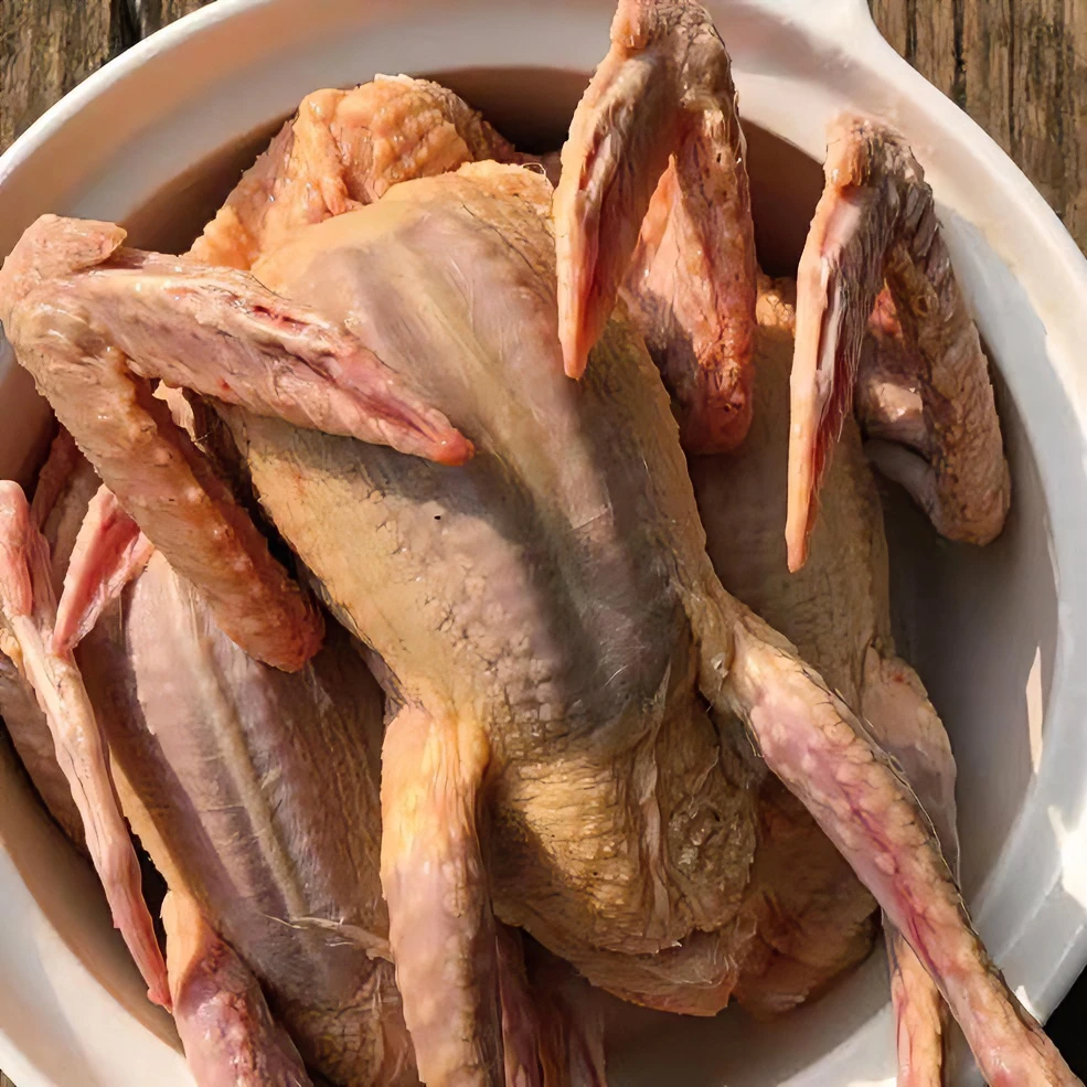 【坏单包赔】精品乳鸽3只装  现宰现杀 当天发货食用