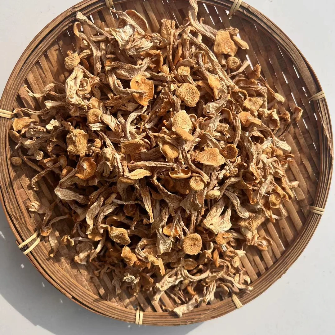 海鲜菇白玉菇食用菌菇农产品干锅爆炒脆嫩爽口100-500克