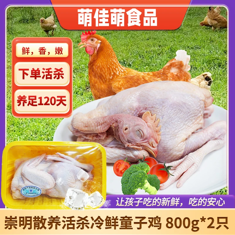 萌佳萌崇明活杀冰鲜散养童子鸡800g*2新鲜清蒸走地鸡顺丰冷链包邮
