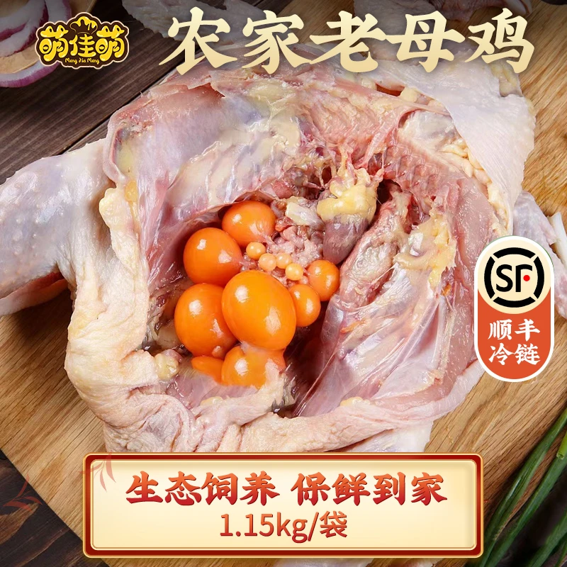 【旗舰店专属】农家鸡鸭鸽黄油老母鸡老麻鸭生态鸽350g冷冻老母鸡