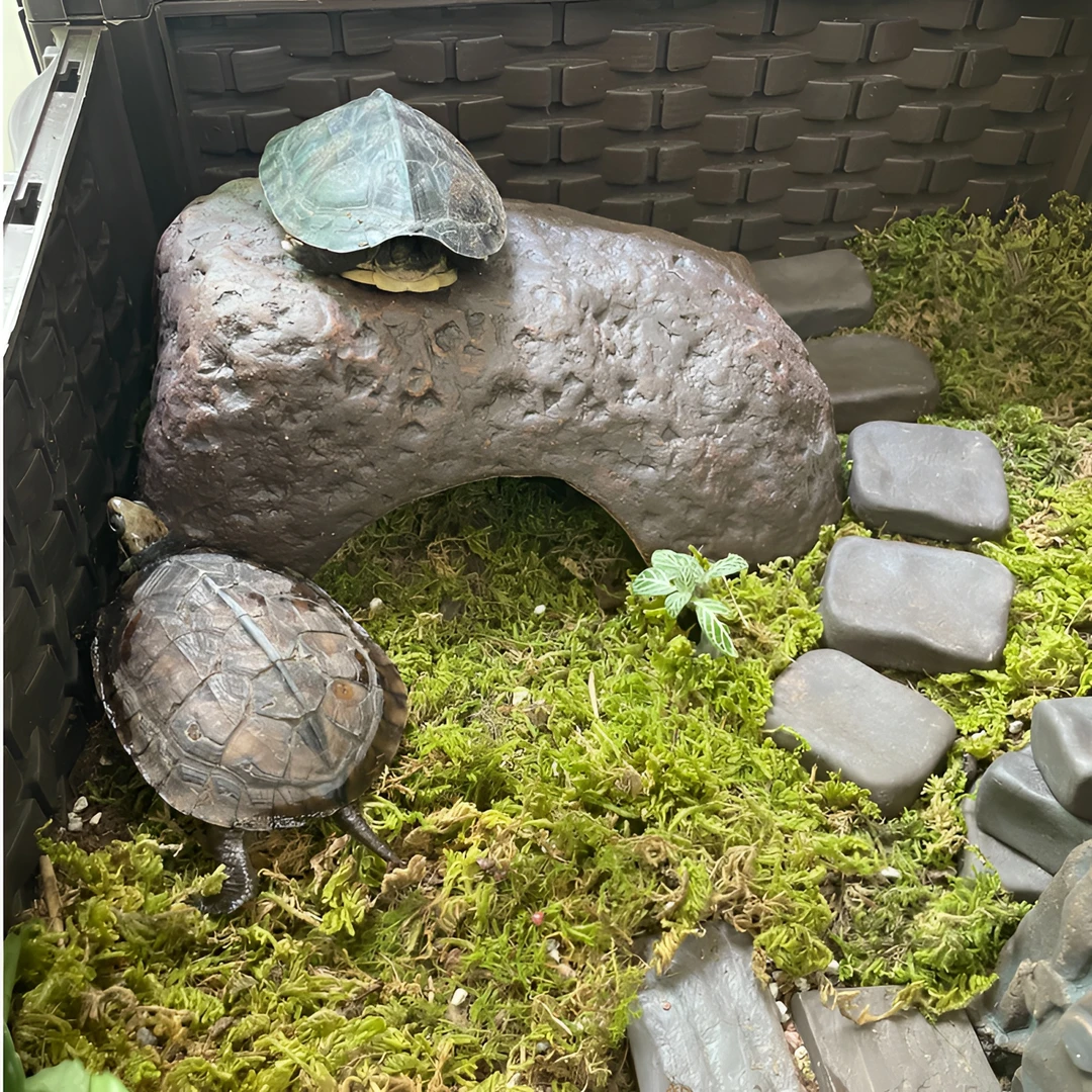 陶瓷手工仿真石头乌龟黄缘龟晒台爬台爬坡晒背台鱼缸造景躲避洞