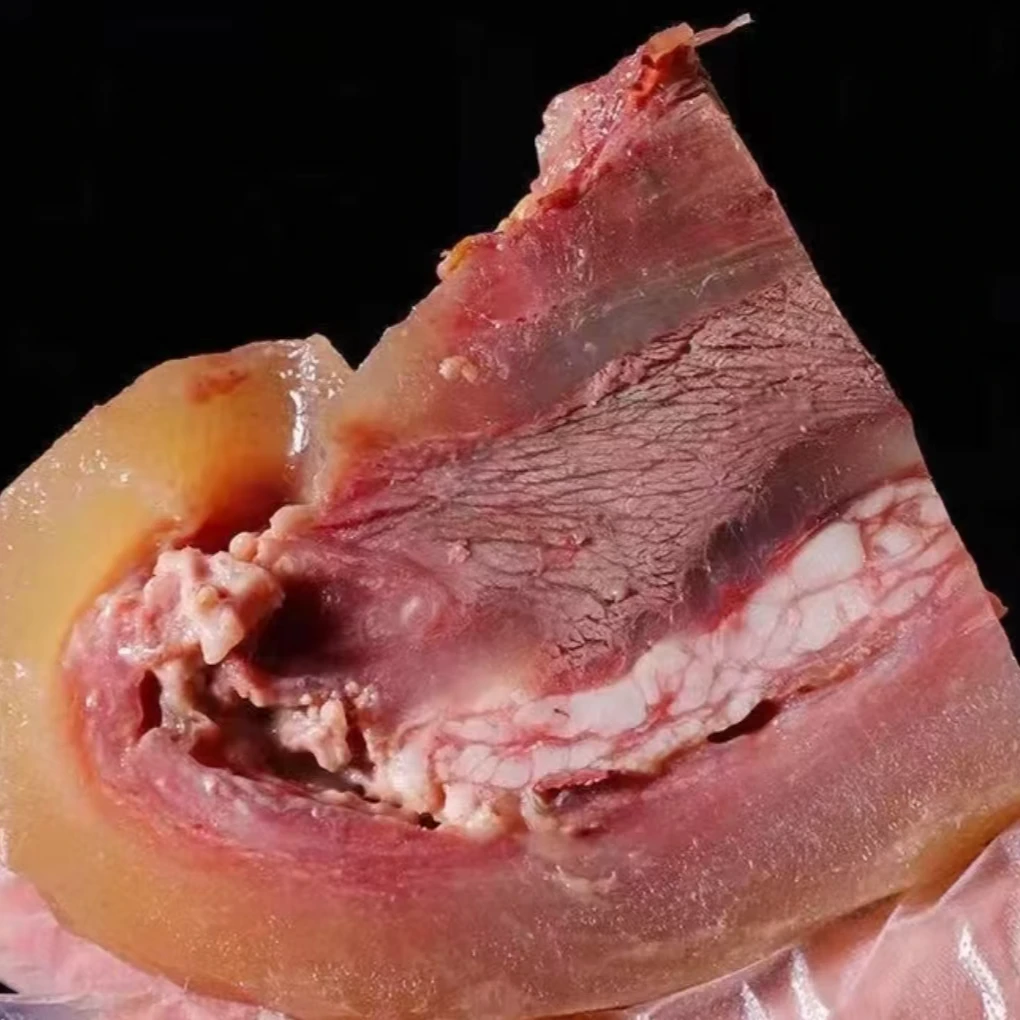 原味熟牛头肉冷冻优质牛脸家用凉拌热炒涮火锅五斤顺丰包邮