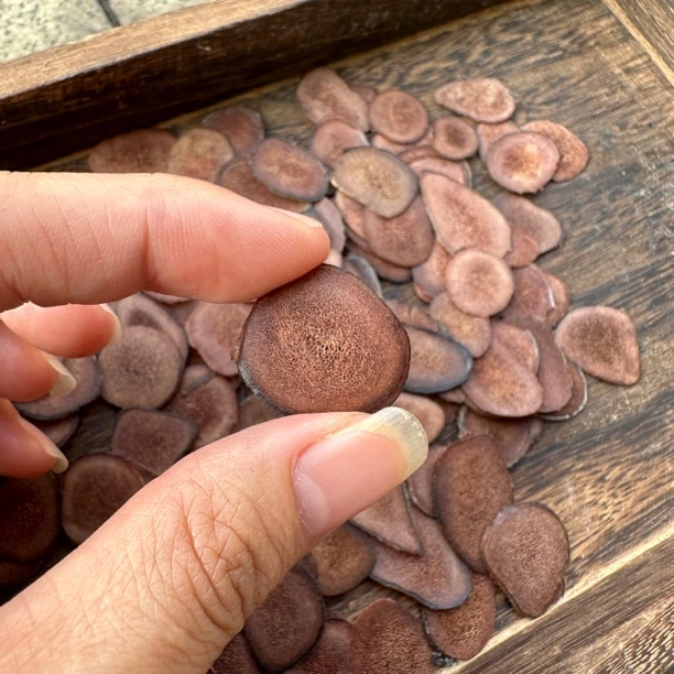 长白山鹿茸片泡水 煲汤 泡酒料
