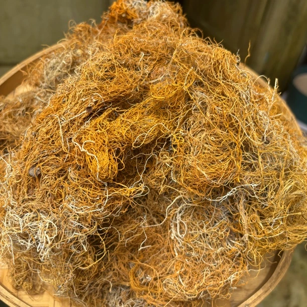 云南野生 高原金丝红雪干货