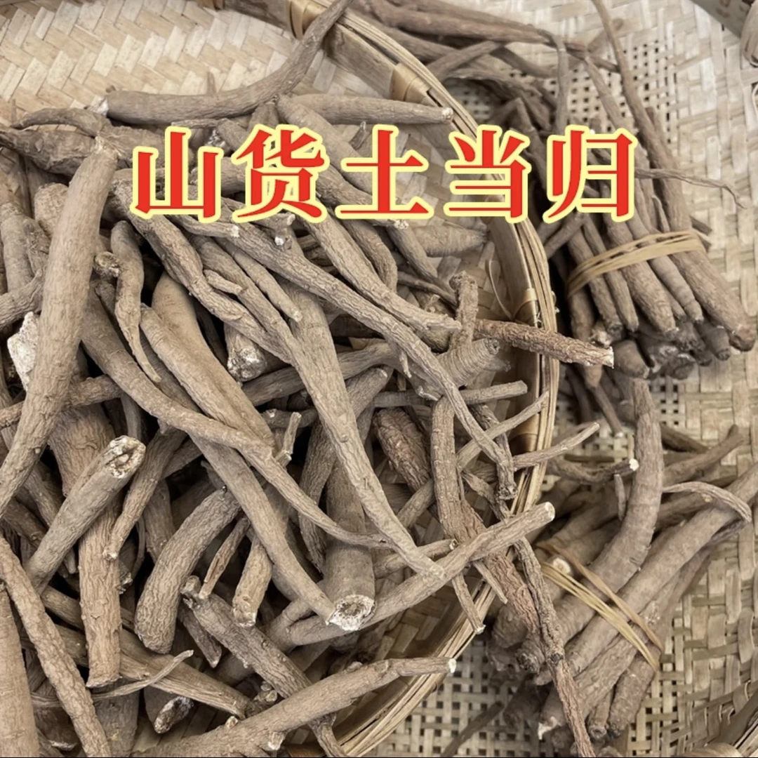现收山货~土当归 甜当归 炖汤炖鸡煮水炖猪蹄炖排骨很香