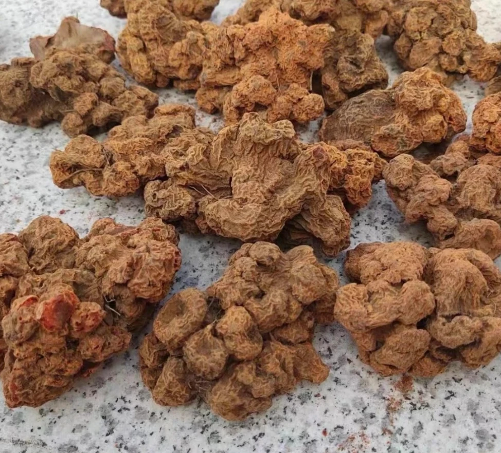 云南土特产～现收血-菩-提参干货农产品