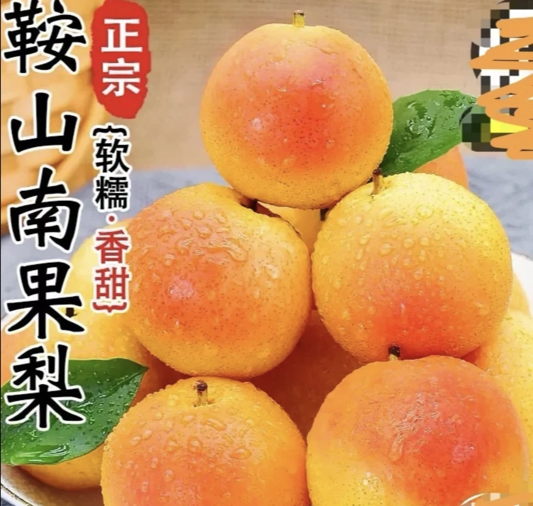 鞍山南果梨5斤顺丰包邮正宗东北特产礼盒装水果新鲜采摘酸甜多汁