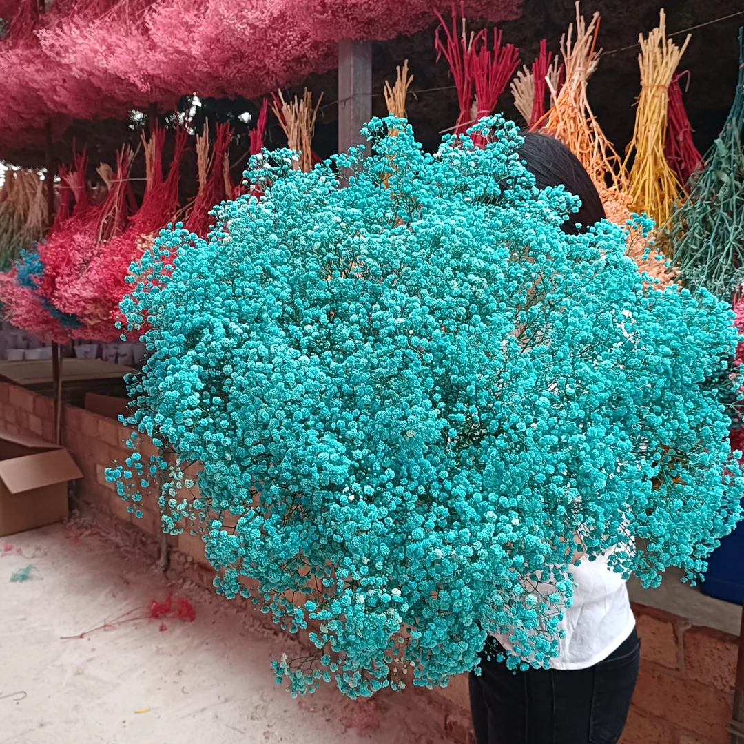 七夕专享永生满天星纯A级干花手工家居摆设花束客厅礼物地摊货源