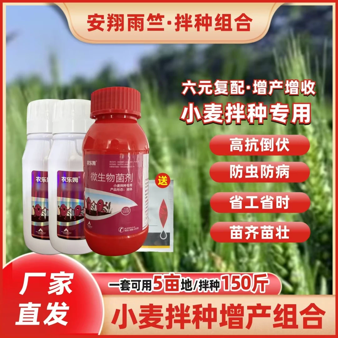 小麦拌种包衣水溶肥保护根系减少病虫害增产增收氨基酸