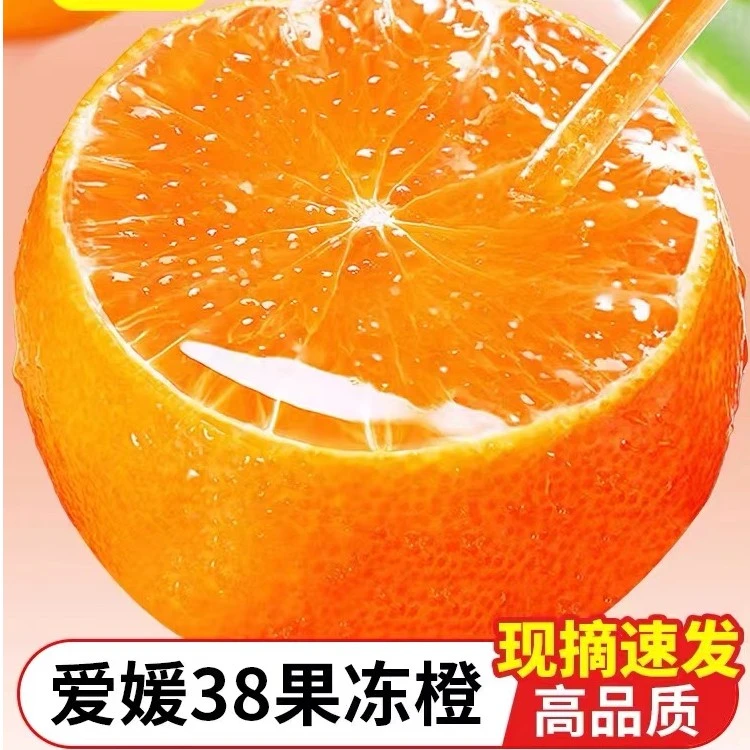 【绿色认证】四川爱媛38号果冻橙6/9斤饱满多汁人工严选露天种植