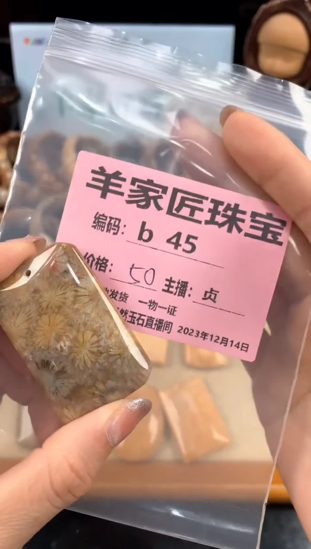 【闪购商品】硅化珊瑚（珊瑚玉）颈饰未镶嵌b