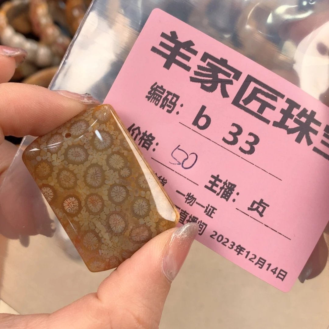 【闪购商品】硅化珊瑚（珊瑚玉）颈饰未镶嵌ღ**？B33