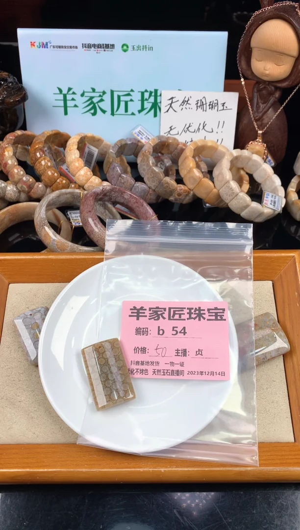 【闪购商品】硅化珊瑚(珊瑚玉)颈饰未镶嵌b54