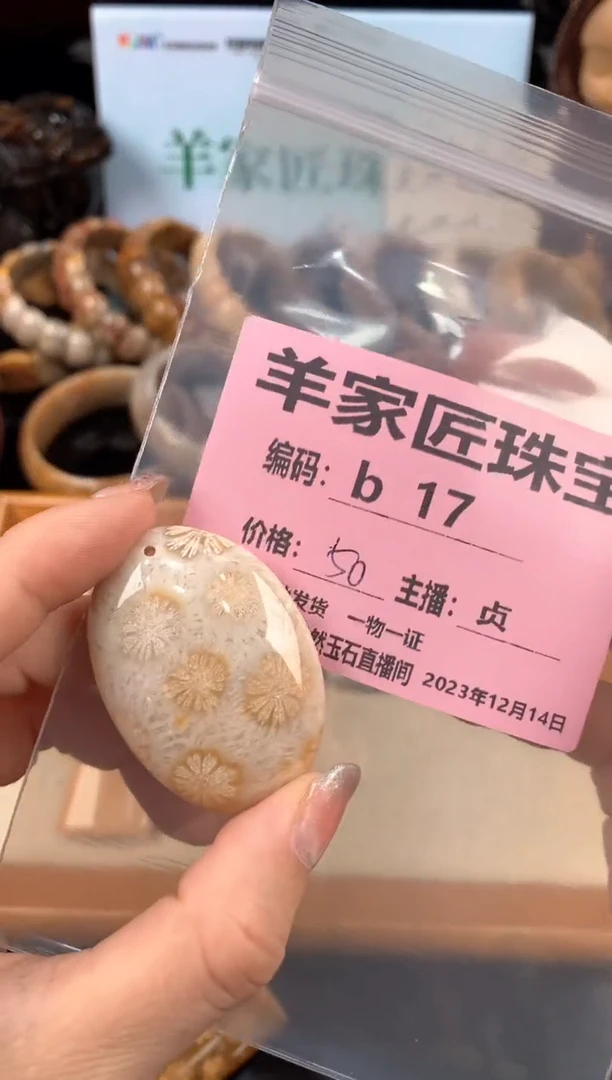 【闪购商品】硅化珊瑚（珊瑚玉）颈饰未镶嵌b17