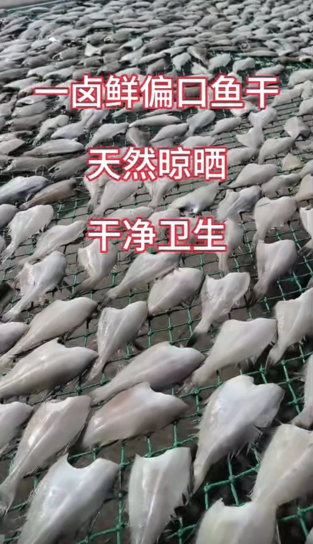 荣成特产一卤鲜中偏口鱼3-5斤装4成干冷冻保存美味鱼干自然晾晒