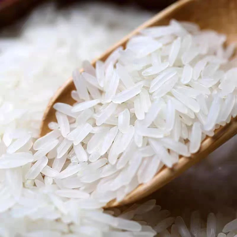 【秋田里】四川农家大米 2024通江大米