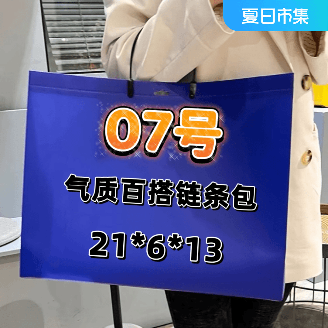 7号气质百搭链条包8219#